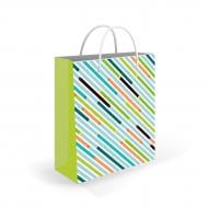 Пакет подарунковий S 14x17x7 cм Кольорові промені Львівська Мануфактура Друку Пакет подарунковий S 14x17x7 cм Кольорові промені Львівська Мануфактура Друку