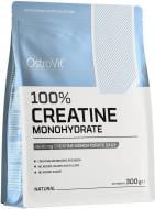 Креатин моногидрат Ostrovit Creatine Monohydrate 300 г