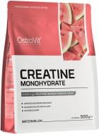 Креатин Ostrovit Creatine Monohydrate арбуз 500 г