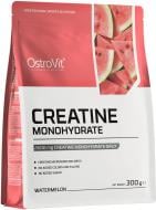 Креатин Ostrovit Creatine Monohydrate арбуз 300 г