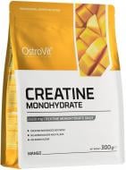 Креатин Ostrovit Creatine Monohydrate манго 300 г