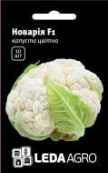 Насіння LedaAgro капуста цвітна Новарія F1 середня 10 шт.
