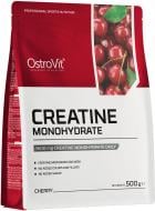 Креатин Ostrovit Creatine Monohydrate вишня 500 г