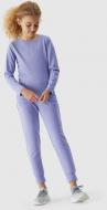 Брюки 4F TROUSERS CAS F421 4FJAW23TTROF421-32S р. 122 голубой