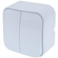 Выключатель накладной двухклавишный серия Country без подсветки белый QM-BMH-00020