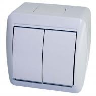 Выключатель накладной влагозащищенный двухклавишный серия Storm без подсветки белый QM-BMHB-00020
