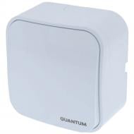 Вимикач накладний одноклавішний серія Country без підсвітки білий QM-BMH-00010