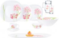 Сервіз столовий Luminarc Carine Jacinthe 46 предметів на 6 персон N8582