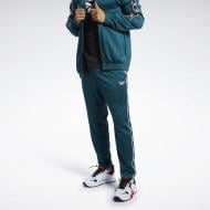 Брюки Reebok CL VECTOR TAPE TRAC DEETEA FN2959 р. S зеленый