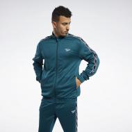 Джемпер Reebok CL F VECTOR TAPE TR DEETEA FN2960 р. S зеленый