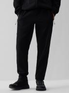 Брюки 4F TROUSERS CAS 4FRAW26TTROM2082-20S р. 2XL черный