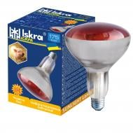 Инфракрасная лампа для обогрева молодняка с.-х. животных Іскра R123 175 Вт E27 230 В (ІЧЧ 230-175-R125 E27)