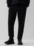 Брюки 4F TROUSERS CAS 4FRAW26TTROM2082-20S р. L черный