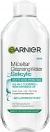 Мицеллярная вода Garnier для снятия макияжа и очищения кожи лица с салициловой кислотой 400 мл