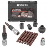 Набор для снятия шкивов генераторов Forsage F-04D2002D