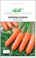 Насіння Професійне насіння морква Каріні 1 г