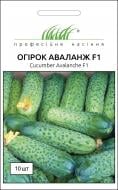 Насіння Професійне насіння огірок самозапильний Аваланж (Авелла) F1 10 шт.