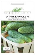 Семена Професійне насіння огурец Караоке F1 10 шт. (4823058205830)