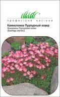 Семена Професійне насіння цветочная смесь Камнеломка Пурпурный ковер 0,1 г (4823058203393)