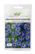 Семена Професійне насіння брахикома Голубой огонек 0,1 г
