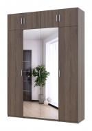 Шкаф для одежды Doros Мартин 1800х520х2500 комплект 11 зеркало / трюфель
