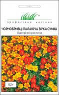 Насіння Професійне насіння чорнобривці дрібноквіткові Палаюча зірка суміш 0,2 г