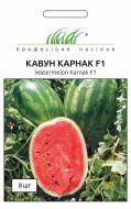 Насіння Професійне насіння кавун Карнак F1 8 шт. (4823058205090)