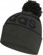 Шапка Adidas Logo Pom Woolie GE1167 р.L зеленый