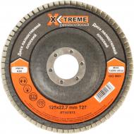 Круг лепестковый X-Treme T27   125 мм P60 XT107073