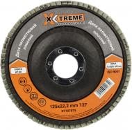 Круг лепестковый X-Treme T27   125 мм P100 XT107075
