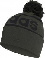 Шапка Adidas Logo Pom Woolie GE1167 р.one size зелений