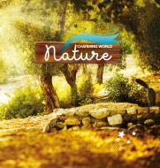 Блокнот Лес 15.5х15.5 см 80 листов (1NB740) Аркуш