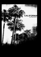 Блокнот Пальмы 17х23 см в линию 80 листов Разноцветный (1NB742) Аркуш Блокнот Пальмы 17х23 см в линию 80 листов Разноцветный (1NB742) Аркуш