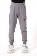 Брюки спортивные Mevis 01 р.122 серый