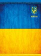 Щоденник недатований Жовто-синій лінія Аркуш Art A5 А5НДАТ-АРТ-352ББЛ205