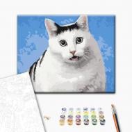 Картина за номерами Кіт «Га?» 30х40 см Brushme