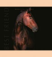 Блокнот Конь 1NB822 Аркуш