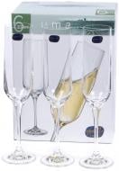 Набір бокалів для шампанського Bohemia Uma 200 мл 6 шт.
