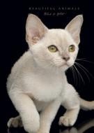 Блокнот 1В970 Аркуш