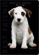 Блокнот 1В960 Аркуш