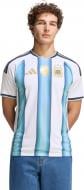 Футболка Adidas AFA H JSY D WHITE/ICEBLU/LTBLUE JM8396 р.2XL голубой
