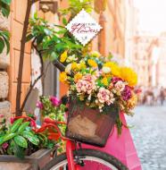 Блокнот Велосипед 1NB873 Аркуш