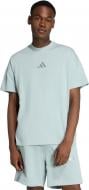 Футболка Adidas M A SZN T WOSA KC3189 р.M зелений