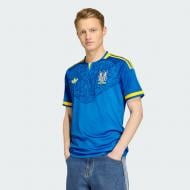 Футболка Adidas UAF A JSY GLOBLU JZ7005 р.M синий
