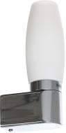 Светильник настенный Arte Lamp Aqua 1x40 Вт хром A1209AP-1CC