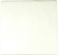 Наволочка TR1002904, Сатин Camino 70x70 см кремовый Arya