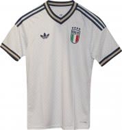 Футболка Adidas FIGC A JSY AERBLU KC8704 р.S голубой