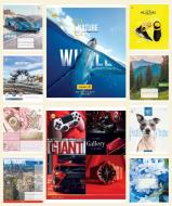 Тетрадь школьная 48 листов клетка в ассортименте