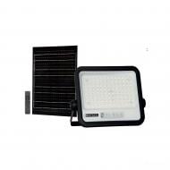 Прожектор HOROZ ELECTRIC TIGER PRO-200 3CCT 200 Вт IP65 чорний 068-012-2200-010