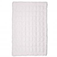 Одеяло Нежность летняя антиаллергенная 155x210 см SoundSleep белый